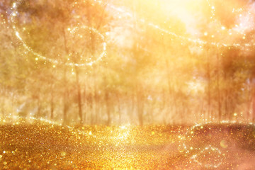 blurred abstract photo of light burst among trees and glitter golden bokeh lights.