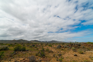 Landscape of the Atacama Desert, Northern Chile