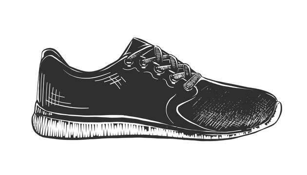 Vector engraved style illustration for posters, decoration and print. Hand drawn sketch of sneaker in monochrome isolated on white background. Detailed vintage woodcut style drawing.