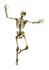 3D Rendering Human Skeleton on White