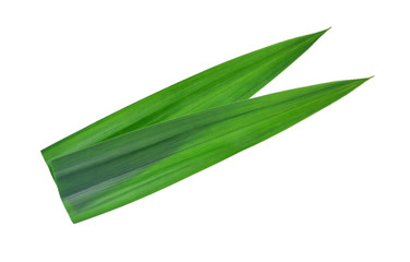 fresh green pandan leaves isolated on white background
