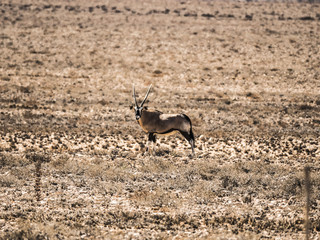 Namibia