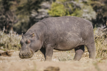 Namibia © Pedro Alvera