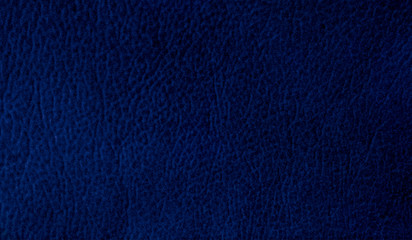 Dark Blue Leather