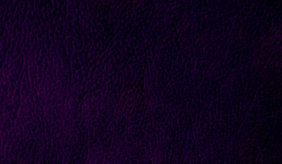 Dark Purpke Leather