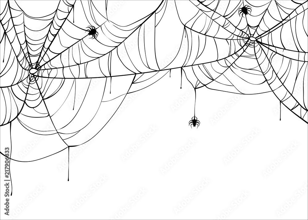 Wall mural halloween spiderweb vector background with spiders, copy space. cobweb backdrop illustration isolate