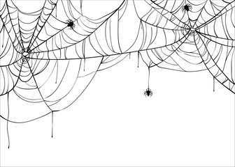 Halloween spiderweb vector background with spiders, copy space. Cobweb backdrop illustration isolated on white
