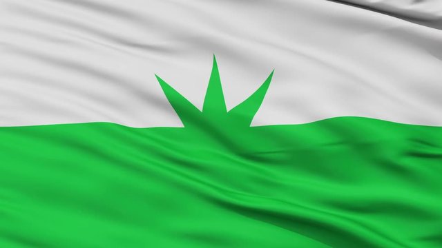 Piojo  closeup flag, city of Colombia, realistic animation seamless loop - 10 seconds long