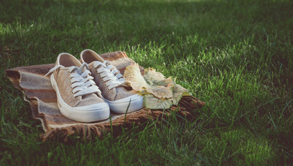 Autumn shoes and fallen yellow foliage. Autumn background
