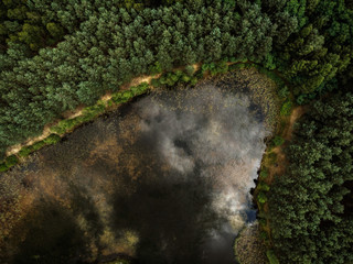 Top down aerial drone view over forest and lake