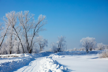 Obraz premium Winter landscape. Cold day.