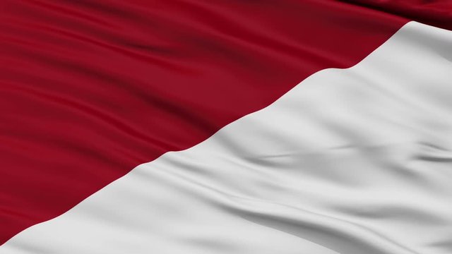 Puli closeup flag, city of Colombia, realistic animation seamless loop - 10 seconds long