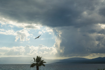 Cloudy sky over the sea 
