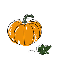 Pumpkin with leaf icon vector illustration on white background