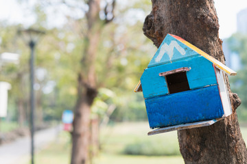 Creative handmade of wooden birdhouse on the tree in park, Painting colorful on wooden home of bird.