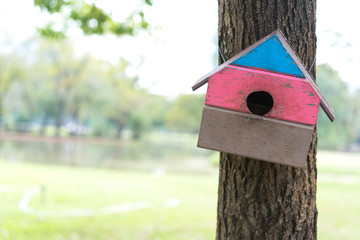 Creative handmade of wooden birdhouse on the tree in park, Painting colorful on wooden home of bird.