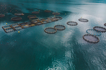 aerial view of fish farm in sea water. summer time