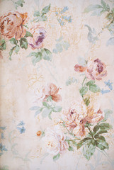 Fototapety  Vintage tło z różami - ilustracja kwiatowy - stara tekstura papieru