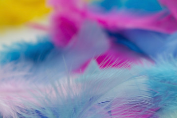 Fototapeta na wymiar Colorful blurry feathers background