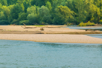      Beautiful sandbars and rivebanks of Drava river in Podravina, Croatia, green nature landscape 