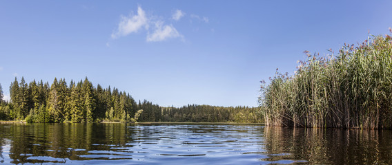 Wasserlandschaft. See mit Schilf im Wald. Lake in the forest with water reed. Panorama