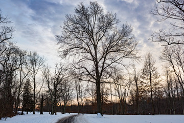 winter park path