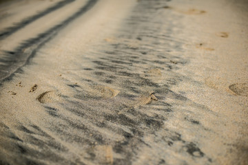 Footprints on the beach