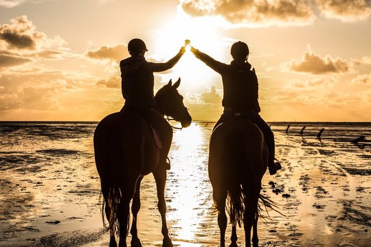 Pferde mit Reiter im Watt am Meer 