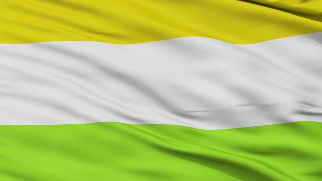Tena  closeup flag, city of Colombia, realistic animation seamless loop - 10 seconds long