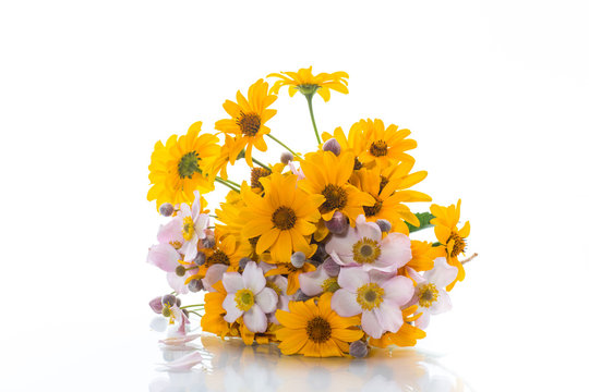 Fototapeta bouquet of yellow big daisies isolated on white