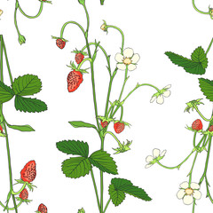 Hand drawn seamless pattern with strawberry.