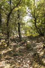 Obraz premium Chemin de randonnée, Cévennes