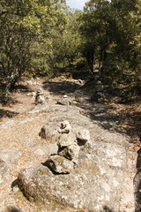 Chemin de randonnée dans la forêt, Cévennes	