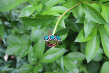 Close up of beautiful shiny rings