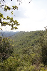 Paysage  de montagne dans les C&eacute;vennes	