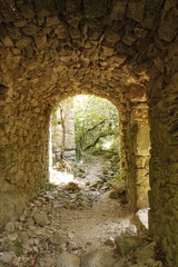 Naklejka premium Maison en ruine dans les Cévennes