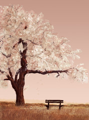 dark brown bench in a field under a blossoming cherry tree on a pink background