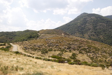 Fototapeta premium Maquis dans les Cévennes 