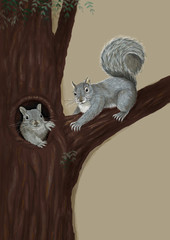 two squirrels sitting on a tree