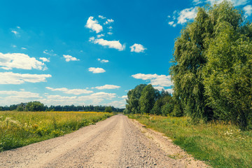 Fototapeta na wymiar The country road along the field on a sunny day