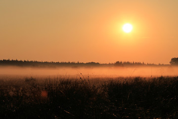 Obraz premium Morgennebel
