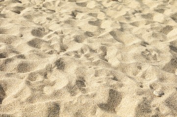 sea sand background texture, top view, shadow on the sand