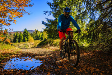 Naklejka na ściany i meble Mountain biker cycling in autumn mountains forest landscape. Man cycling MTB flow trail track. Outdoor sport activity.