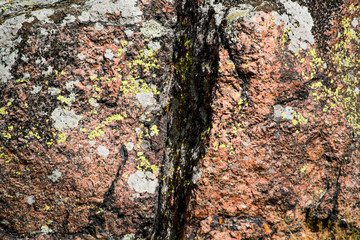 Cracked stone covered with moss