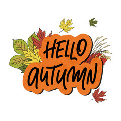 Hello Autumn. Handwritten Autumnal season inscription. Vector illustration with autumn leaves isolated on white background. Badge, tag, icon. Inspirational quote card, invitation, banner. 