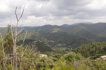 Paysage de montagne dans les Cévennes