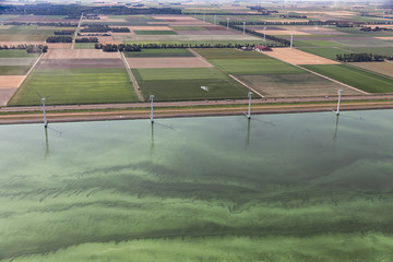 Fototapeta premium Aerail view Dutch coast of province Flevoland in hot summer, the sea is covered with blue-green algae - Cyanobacteria - through eutrophication