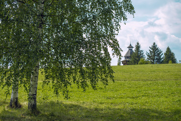 Russian landscape with birch