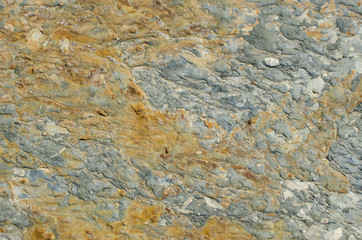 Micro-hulled texture of ferruginous argillite close-up