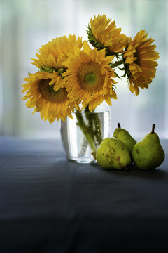 Sun flowers in a vase